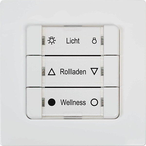 RADEMACHER DuoFern Mehrfachwandtaster Batterieb.,ultra ws 9494-1